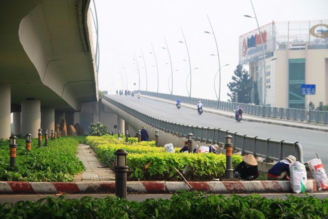 Dạ cầu Thủ Thiêm, nơi xảy ra vụ việc.