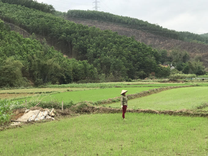 Người dân không còn lo lắng bị sạt lở mỗi khi mùa mưa tới.