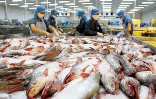 Nhìn lại 1 năm tăng trưởng ấn tượng của ngành hàng cá tra