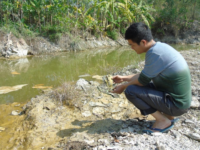 Trên mặt nước xuất hiện lớp váng dày đã đóng thành từng khối.