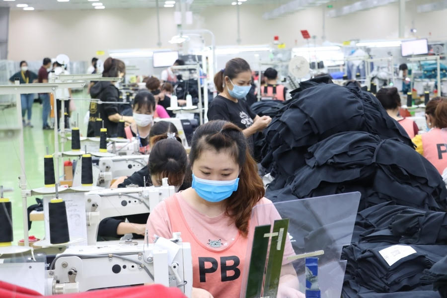 peony-bac-ninh20231014084423.