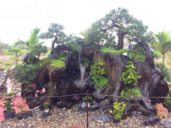 Một trong những quần thể cây cảnh được các nghệ nhân chế tác gây sự chú ý của đông đảo du khách.