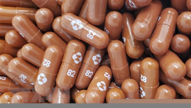 Thuốc viên Molnupiravir do hãng Merck & Co. bào chế để điều trị cho bệnh nhân COVID-19. (Ảnh: AFP/TTXVN)