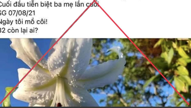 Vụ