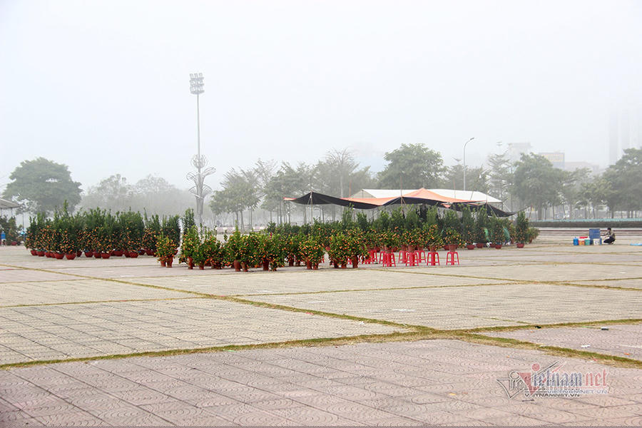 Đìu hiu khách mua quất tại quảng trường Sao Đỏ