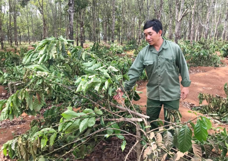 Screenshot_20230315-132559_Facebook