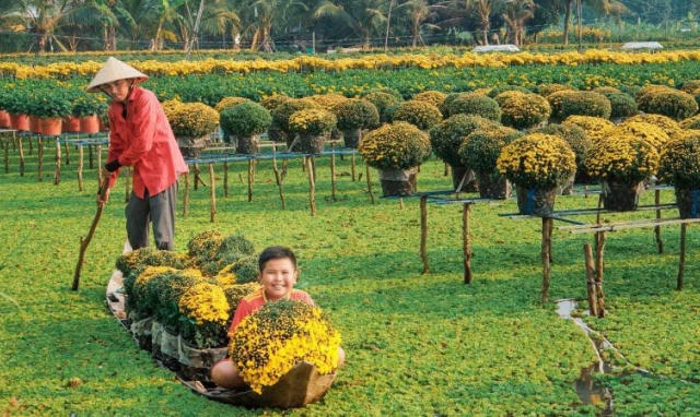 Thủ phủ hoa miền Tây ngập tràn sắc màu chờ Tết
