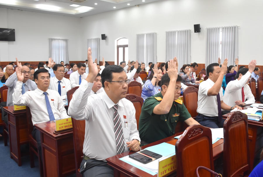 Đại biểu biểu quyết thông qua các Nghị quyết tại Kỳ họp chuyên đề.