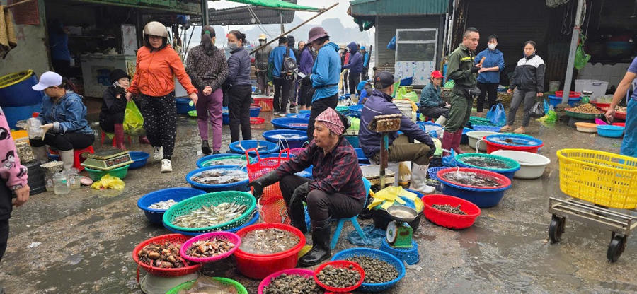 Theo tiểu thương việc di dời lên Chợ đêm Bến Do không đảm bảo cơ sở vật chất, khó trong việc giữ độ tươi ngon của hải sản, tăng chi phí khiến các tiểu thương lo lắng vì lợi nhuận sẽ bị giảm.