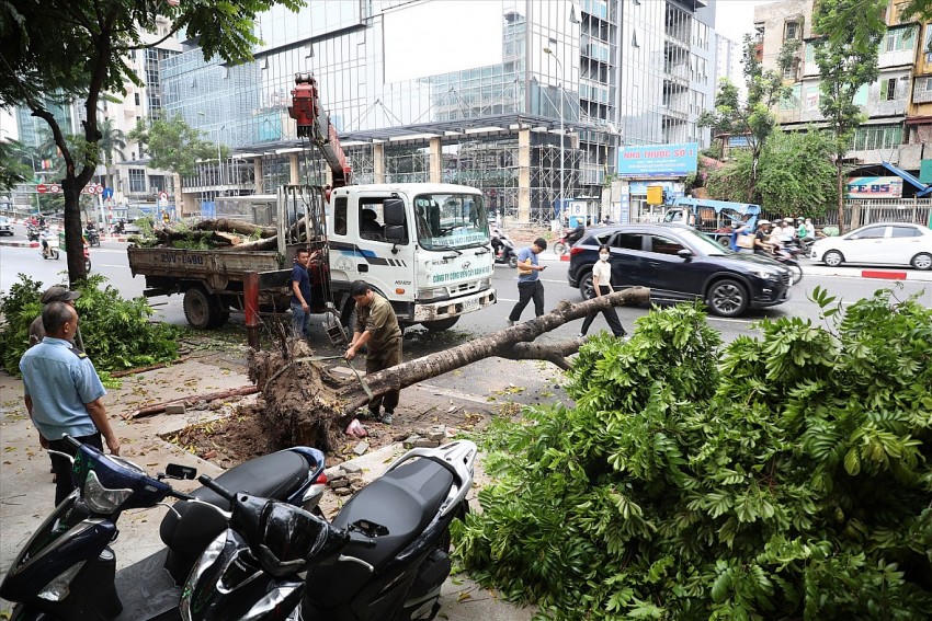 Tăng cường kiểm tra, đôn đốc công tác phòng, chống thiên tai trước nguy cơ ảnh hưởng bão số 3.