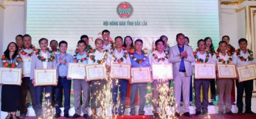 Lãnh đạo Hội Nông dân tỉnh Đắk Lắk trao giấy chứng nhận tuyên dương các tổ hợp tác, hợp tác xã xuất sắc. Ảnh: T.H