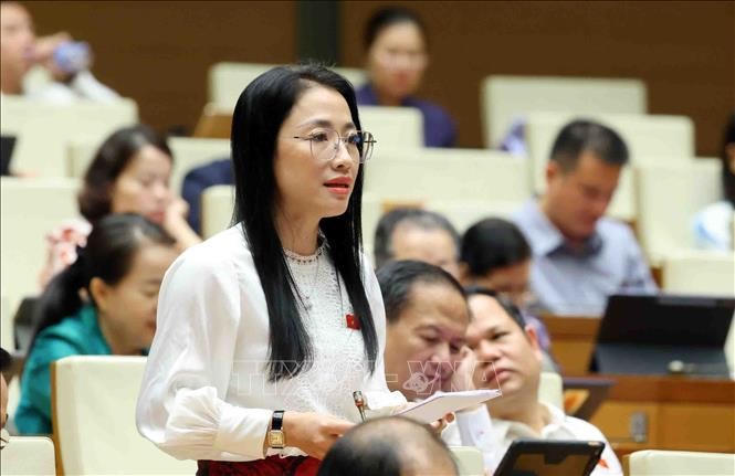 Đại biểu Quốc hội tỉnh Thái Bình Trần Khánh Thu. Ảnh: Phạm Kiên/TTXVN