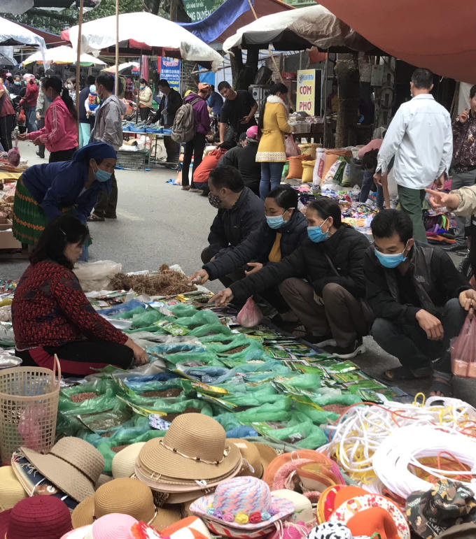Mọi người đang chọn giống rau cho mùa vụ đông