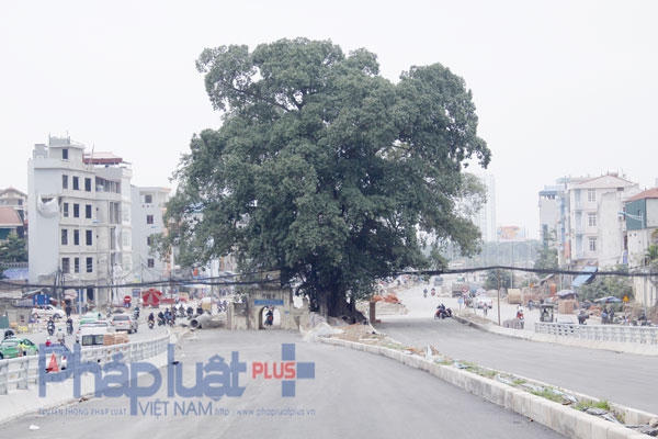 Được khởi công từ tháng 3/2012, đến nay dự án đã hoàn thành giải phóng mặt bằng và hoàn thiện đoạn nối từ cầu Nhật Tân tới Xuân La, còn đoạn Bưởi - Hoàng Quốc Việt, một cầu vượt đang được hoàn thiện.