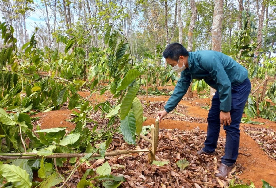 Screenshot_20230315-132538_Facebook