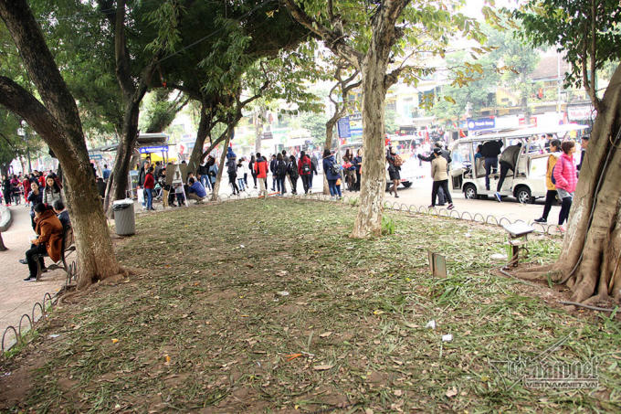 Vườn hoa tại Hồ Gươm bị san phẳng sau đêm giao thừa vừa qua. Ảnh: Trần Thường