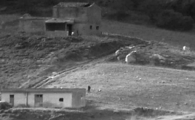 Hệ thống mật mã tội phạm lấy cảm hứng từ đàn cừu