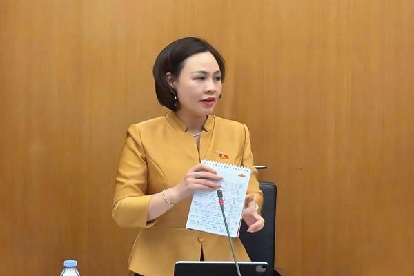 Đại biểu Trần Thị Hồng Thanh, Phó Trưởng Đoàn ĐBQH tỉnh Ninh Bình phát biểu thảo luận tại Tổ.