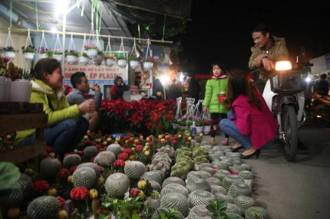 Cây cảnh là mặt hàng được nhiều du khách chọn mua nhiều nhất.