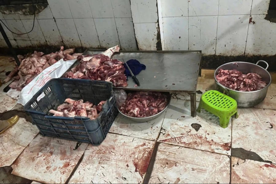 Thịt heo được sơ chế dưới nền nhà nhầy nhụa.