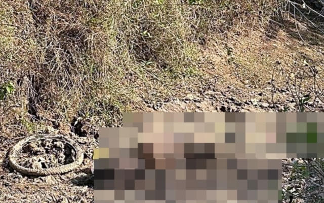 Bình Thuận: Phát hiện thi thể một người tử vong dưới mương nước