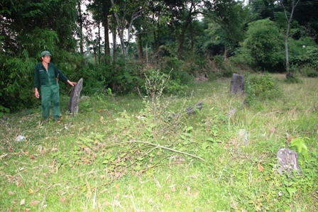 Tại xã Ngọc Phụng cũng có hàng trăm bia đá được cho là của những ngôi mộ cổ.