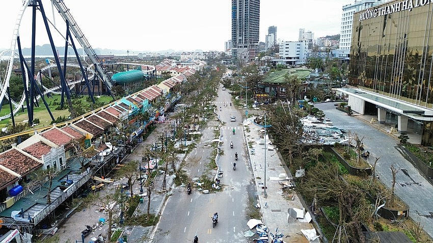 Quảng Ninh bị tàn phá sau cơn bão số 3: Ảnh Ngọc Sơn.