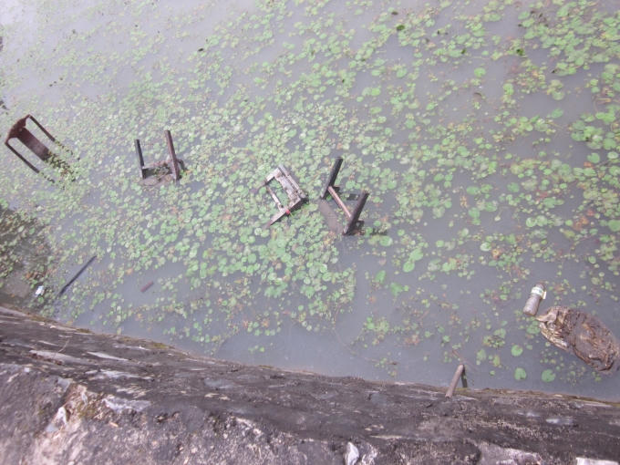 ... và là nơi vứt đủ loại rác thải.