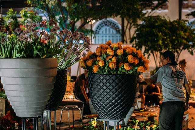 Nhân viên của AGS Events &amp; Media tỉ mỉ kiểm tra từng chậu hoa trước đêm khai mạc