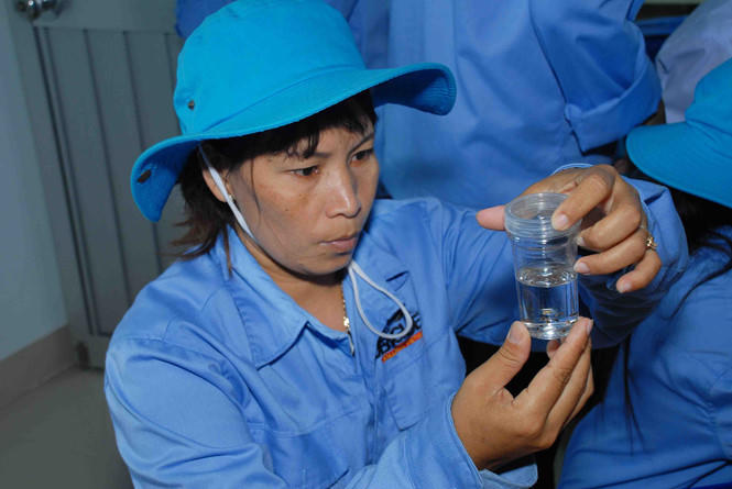 Thả muỗi mang vi khuẩn Wolbachia trên đảo Trí Nguyên.