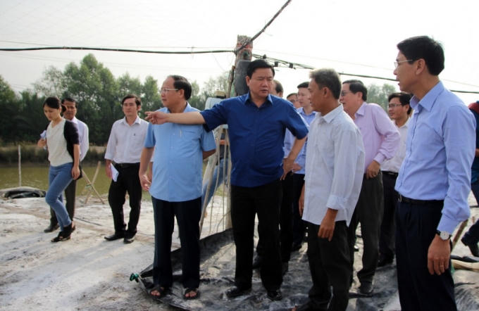 Thấy làm muối không hiệu quả, Bí thư Thăng đề nghị cho người dân vay tiền nuôi yến.