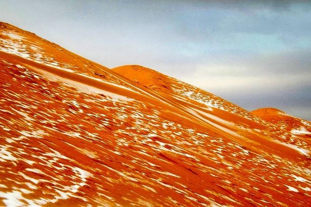 Sa mạc Sahara là sa mạc nóng và khô nhất thế giới.