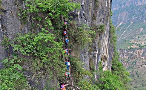 Trẻ em đi học và về nhà trên những vách đá đầy nguy hiểm .