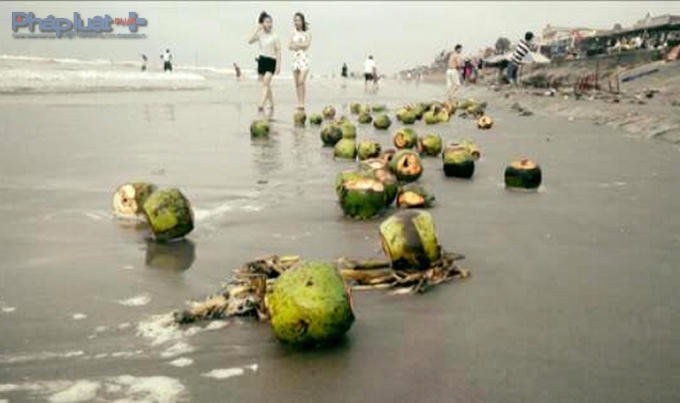 Rất nhiều du khách "nỗ lực" thể hiện sự vô ý thức, họ thản nhiên xả rác tràn ngập trên bãi biển - nơi chính họ cùng người thân đang tranh thủ từng giờ để tận hưởng những ngày nghỉ lễ. Và chính họ đã "thiết kế" cho mình kỳ nghỉ có một không hai: Vui chơi cùng rác bẩn!