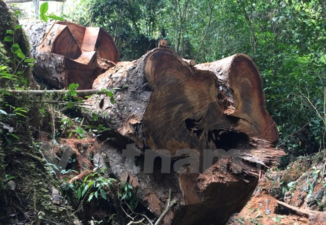 (Ảnh: H.V/Vietnam+)