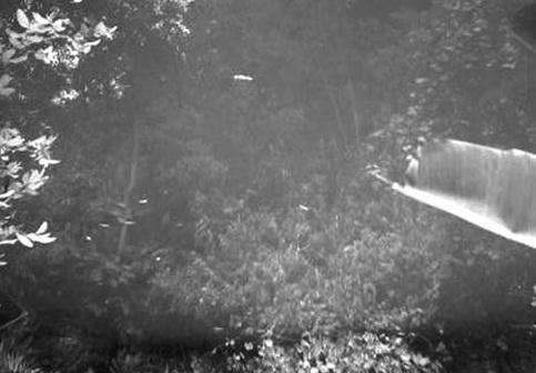 Hiện trường nơi xảy ra vụ &aacute;n.