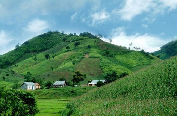 Cần đặc biệt quan tâm gìn giữ, phục hồi rừng Tây Nguyên, giữ lại màu xanh cho vùng (ảnh minh họa)