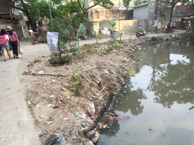 Hình ảnh con mương sau khi được dọn vệ sinh và trồng cây bên trên bờ.