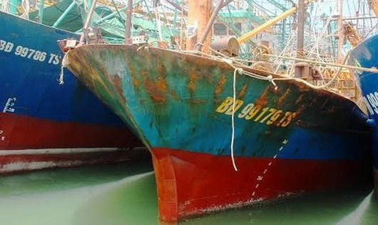 Ảnh minh họa nguồn internet.