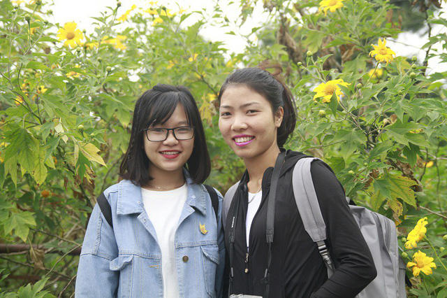 Lên cắm trại từ đêm thứ 7, bạn Phương Thảo chia sẻ: “Mình và bạn bè đợi mùa hoa dã quỳ này từ lâu rồi, nên thấy hoa nở là háo hức đi ngay. Lên căm trại, đốt lửa từ hôm trước, sáng sớm hôm sau đi ngắm hoa. Hoa đẹp thật nhưng mà chưa nở nhiều hoặc có thể tàn rồi. Các bạn đi đông đúc, chen chúc quá khiến mình cảm thấy bon chen”.