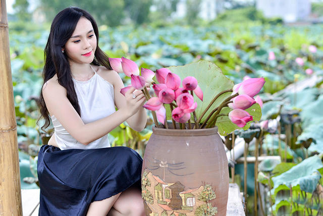 Sen Hà Nội đang vào mùa, đa số là giống sen hồng truyền thống. Bên cạnh đó cũng có những giống sen nhập từ Ấn Độ, Trung Quốc.