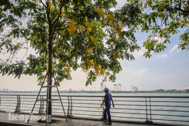 Những phố hoa Hà Nội làm xao xuyến lòng người - ảnh 16