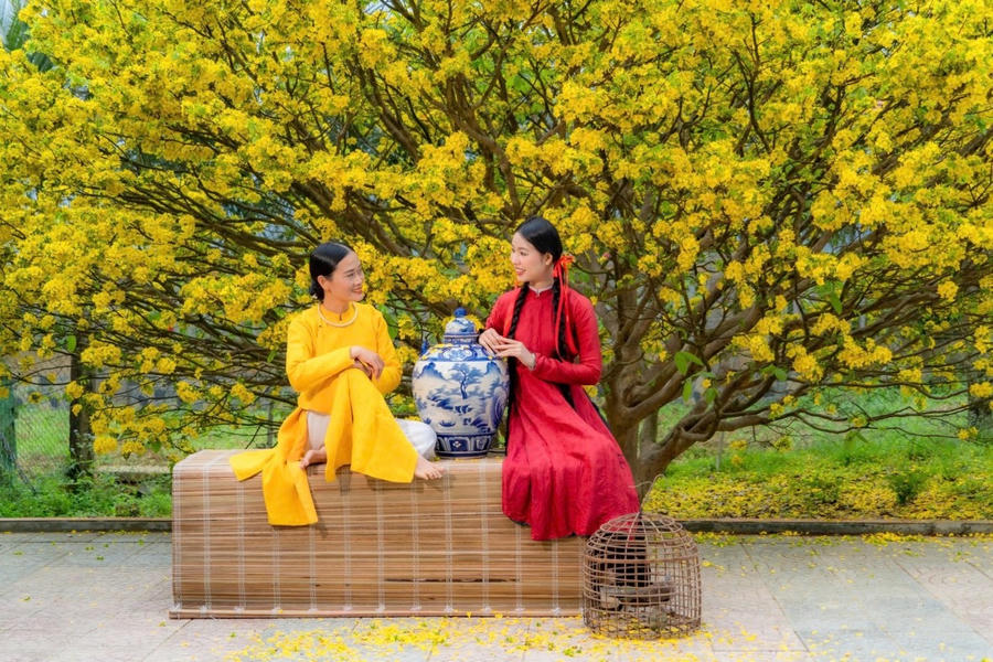 Áo dài truyền thống nổi bật giữa sắc mai vàng, hình ảnh đặc trưng của mùa Xuân phương Nam.
