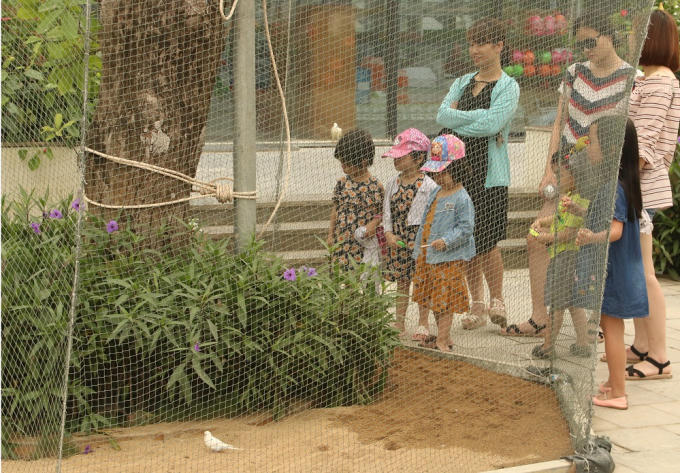 Do đặc thù kỳ nghỉ dài ngày phù hợp với các gia đình, những dịch vụ tiện ích thu hút nhiều khách sử dụng nhất tại FLC Sầm Sơn phải kể đến Vườn chim nhiệt đới, nhà hàng Á Âu, quầy Bar & Lounge, khu vui chơi giải trí ngoài trời, trung tâm mua sắm,…