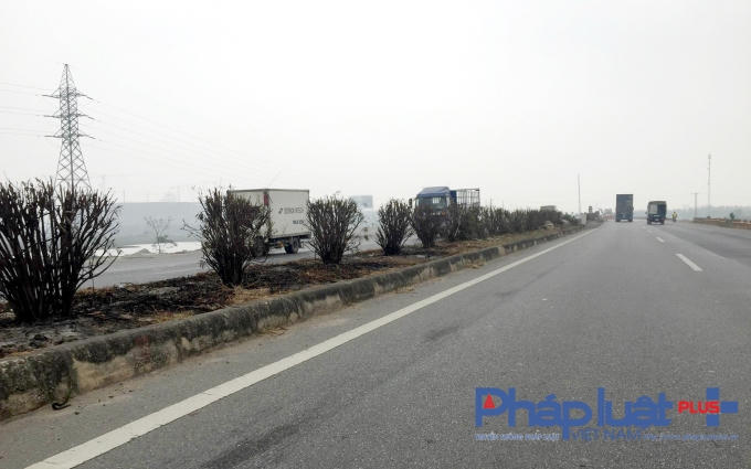 Quốc lộ 18 (đoạn từ cầu Cà Lồ đến KCN Yên Phong) nhiều km cây xanh ở dải phân cách bị cháy trụi.