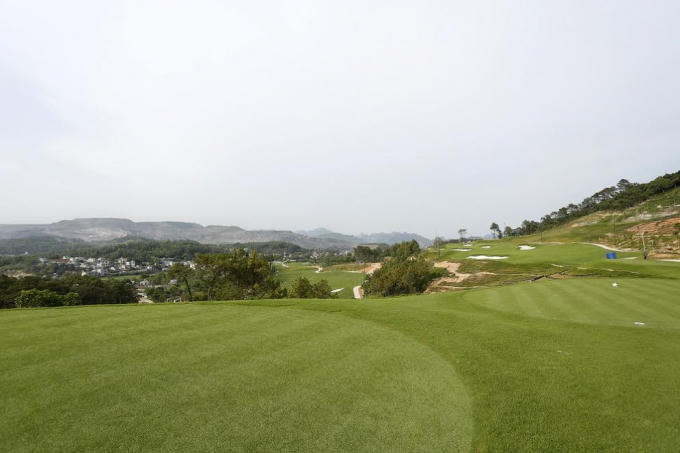 Cỏ Platinum Paspalum được cắt tỉa cẩn thận bởi đội ngũ chăm sóc hàng đầu thế giới.