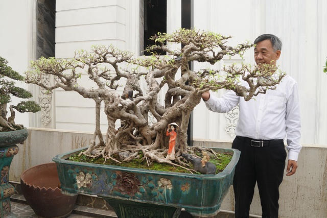 Tác phẩm sanh quê cổ dáng làng có tuổi đời gần 100 năm. Cây được làm theo lối cổ của các cụ ngày xưa