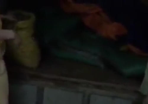 Gần 2 nghìn kg sò biển ko rõ nguồn gốc bị thu giữ.