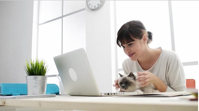 Cần rửa tay sạch sẽ sau khi nựng mèo.