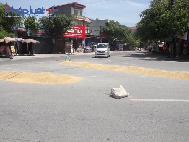 Đoạn ngã 3 tiếp giáp với quốc lộ 21B, thóc lúa được phơi chính giữa lòng đường.